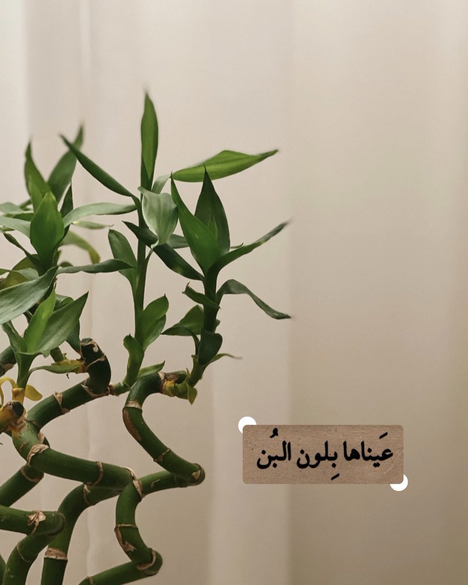 بَنان إبراهيم . tweet media