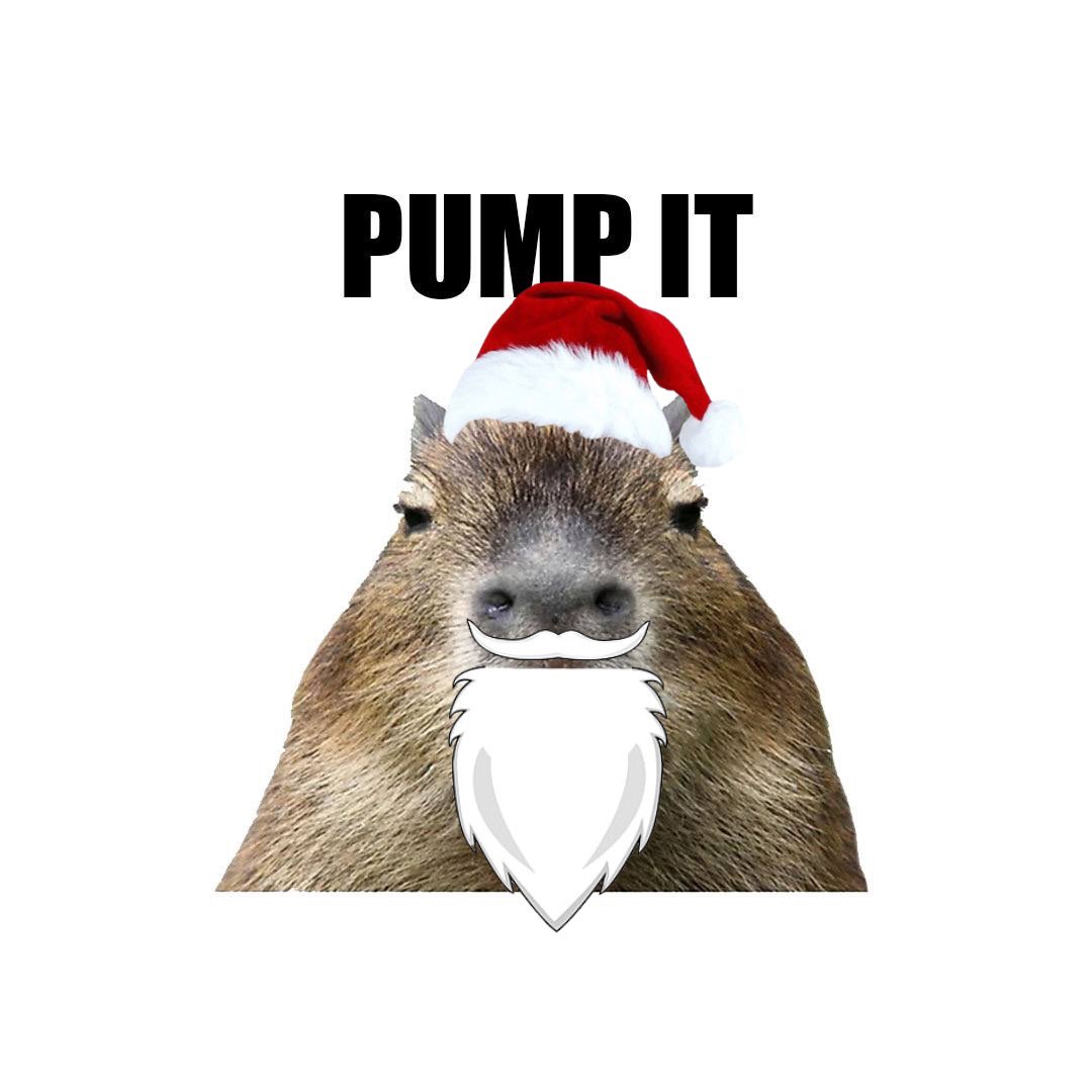 Santa Kapi tweet media