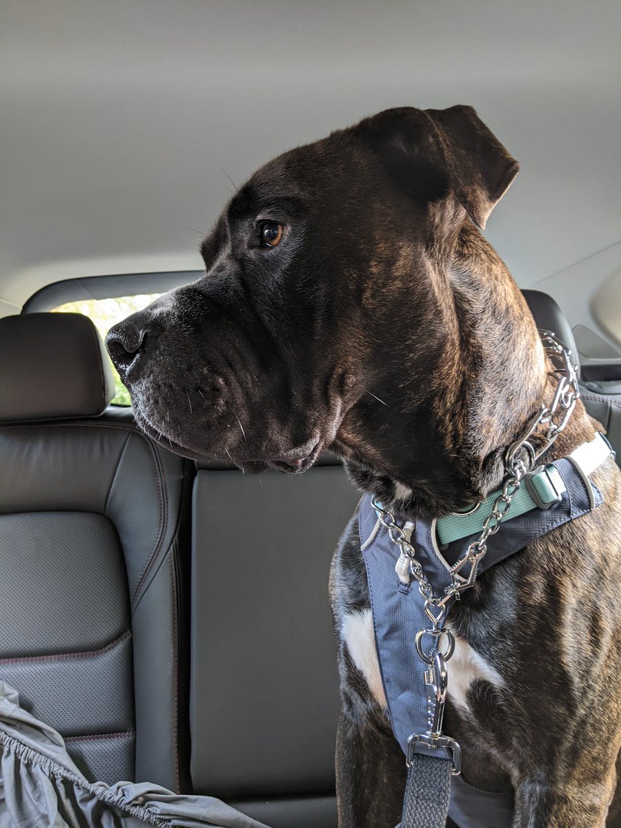 Blanca Orozco tweet media