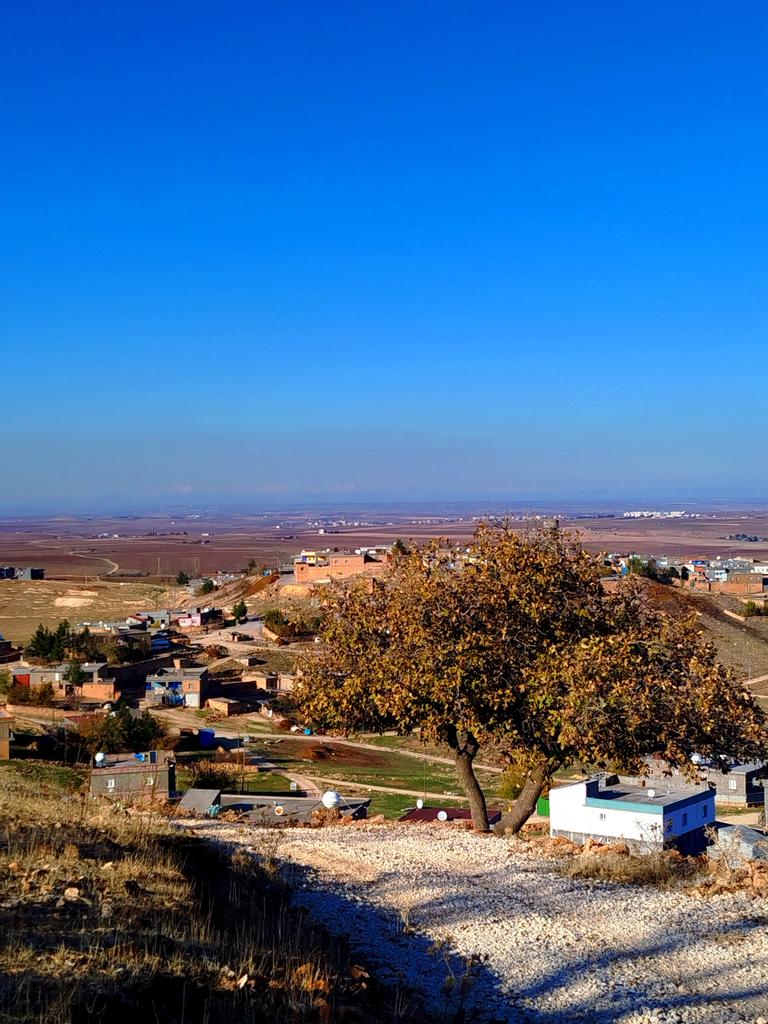 <a href="/arya_paleous2/">ARYA PALEOUS photo</a>