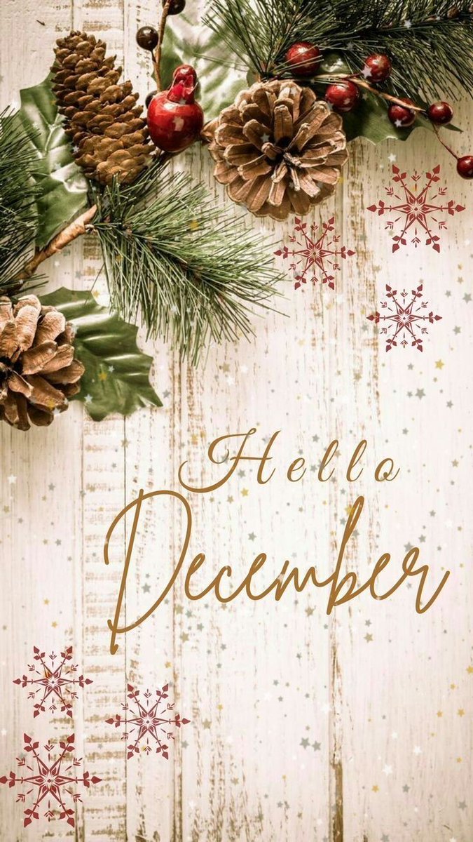 Maiii0003's tweet photo. ماذا لو كان ديسمبر شهر تحقيق الأمنيات 🤲🏻
#hello_december https://t.co/pBxN2f6crt