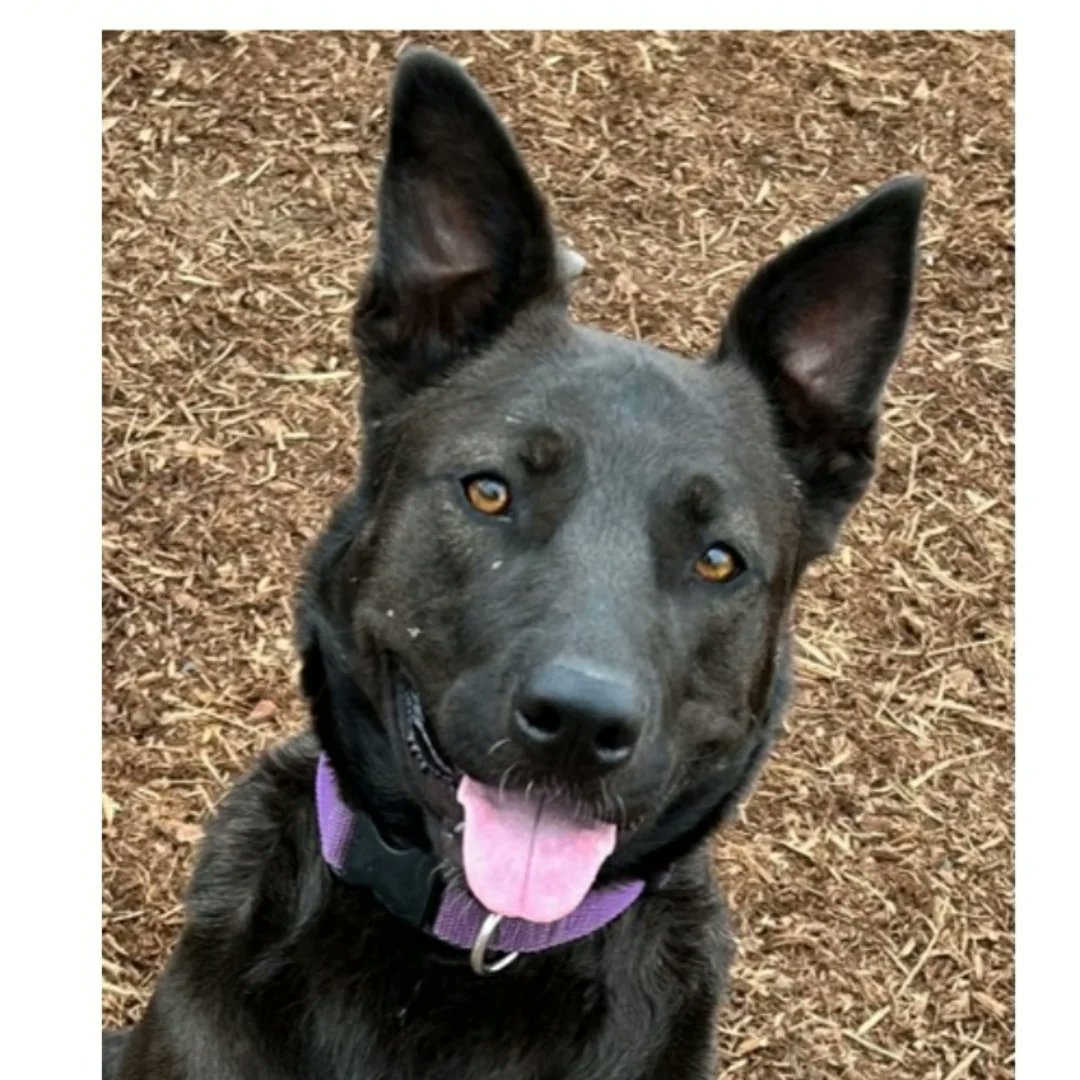 Shaindel Beers 🍻 tweet media