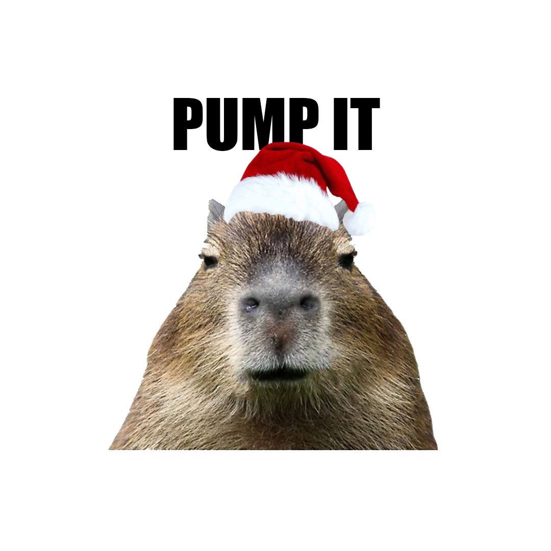 Santa Kapi tweet media
