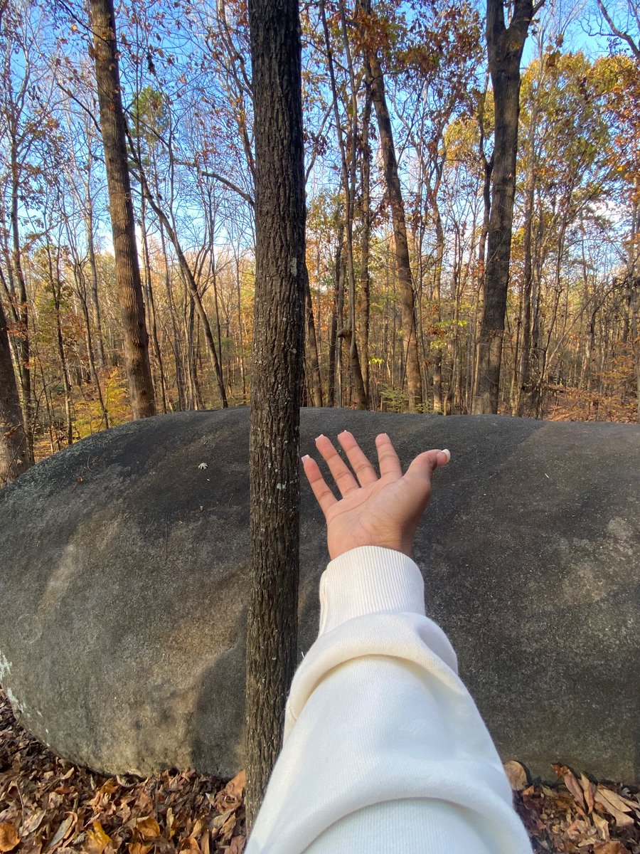 Galliele2000's tweet photo. Thanksgiving Thankfulness 🍁🥰✨

Psalms 27:13-14
I remain confident of this: I will see the goodness of the LORD in the land of the living. Wait for the LORD; be strong and take heart and wait for the LORD. https://t.co/g1C4GwviXk