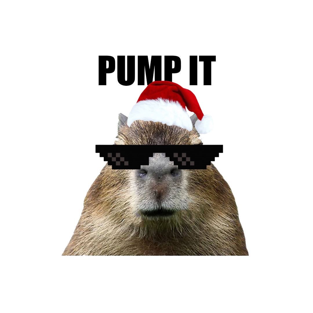 Santa Kapi tweet media