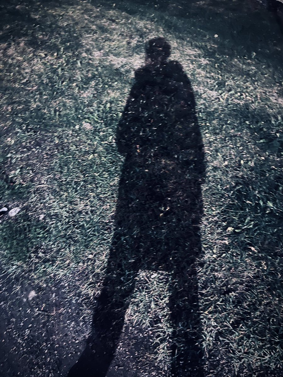 DreamingMyrtle's tweet photo. We play hide and seek with our love 💙🖤 https://t.co/cIGgtdVEps