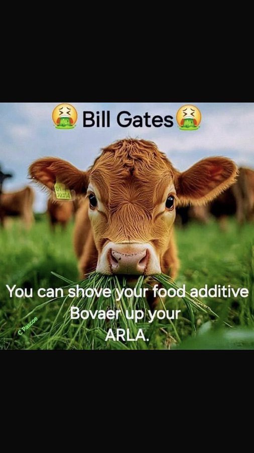 IleaKuriakin's tweet photo. So far Waitrose cheese is Arla! Yeo valley is Arla, Cravendale is Arla. Lurpack  and Anchor are suitably contaminated products also… Tesco, Aldi , M and S and Morrisons are selling this contaminated milk! https://t.co/Z4HRsrfxaD