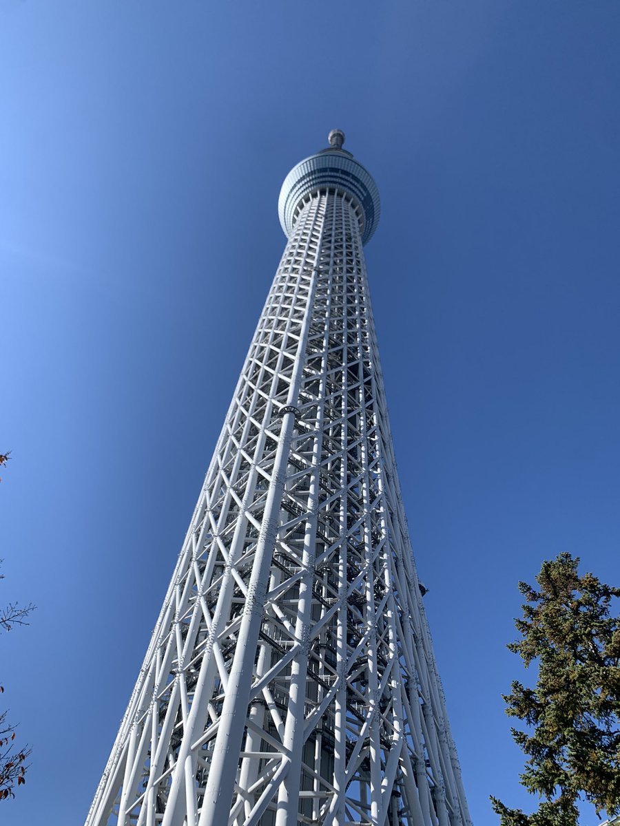 月曜日さっといってさっと帰ってきてました。