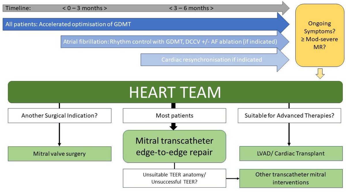 Management of secondary mitral regurgitation: from drugs to devices heart.bmj.com/content/110/17…