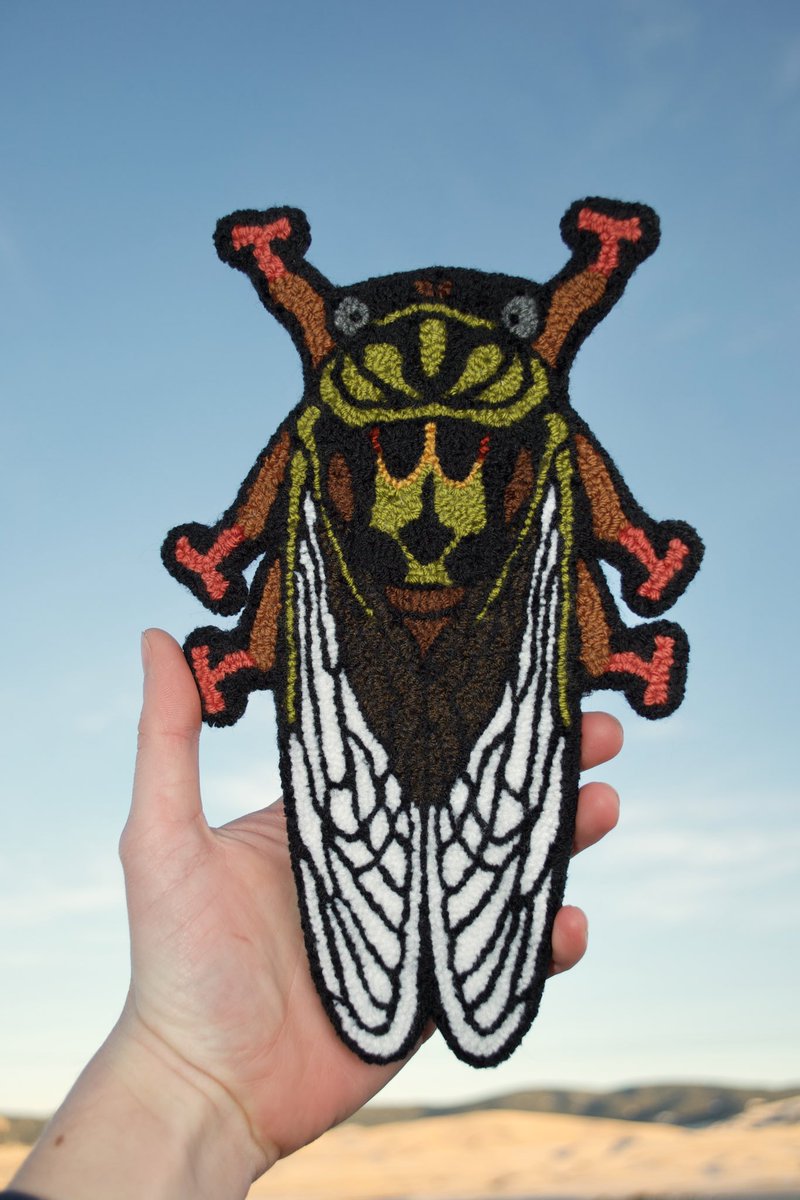 RonanAround's tweet photo. Walker’s cicada and Cecropia moth https://t.co/8YVOC1RtIq
