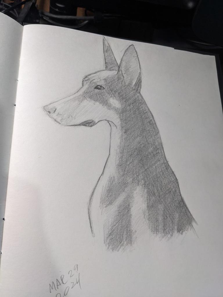 Alpha_TJ 🇨🇦 (ἄλφα) 🚴‍♂️ tweet media