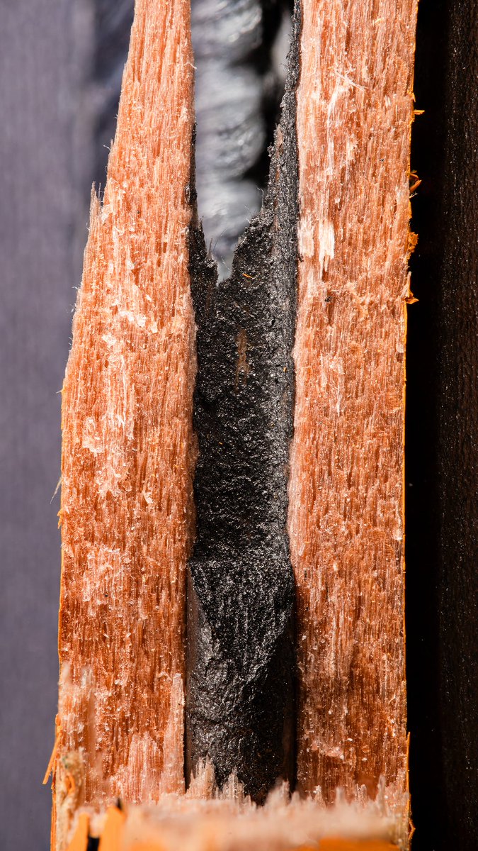 jakemacronature's tweet photo. Can you guess what this macro photo is? Day 387! The answer to 386 (picture on left) was the inside of a pencil!
#maxroguessinggame #challenge #macrophotography https://t.co/vA8XiUbXqo