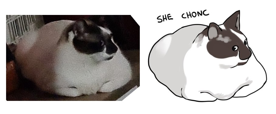 ✦ Nanoless - Working on Customizable Model tweet media