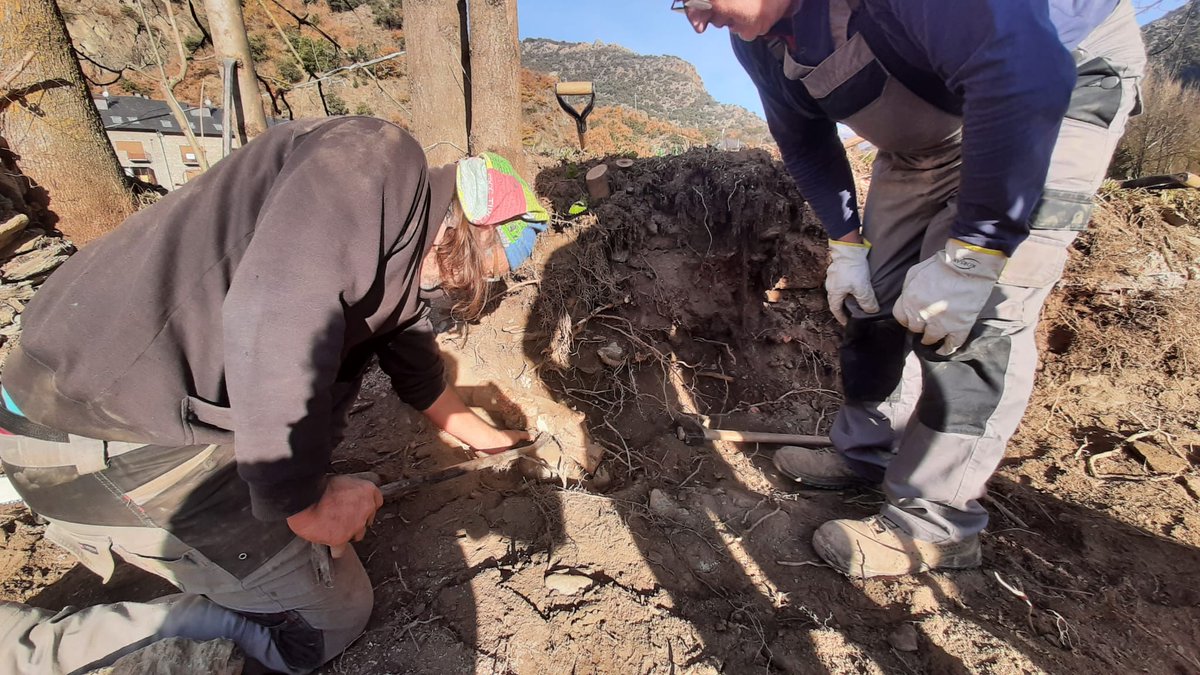 Parc Natural de l'Alt Pirineu (@pnaltpirineu) on Twitter photo Avui hem iniciat amb entusiasme el Curs de Pedra Seca de doble cara a Ribera de Cardós, amb 12 participants. Aquest curs, dins la 5a #SetmanadelaPedraSeca i organitzat amb <a href="/MuseudeCamins/">Museu de Camins</a> ofereix una oportunitat única per aprendre aquesta tècnica declarada Patrimoni #UNESCO Avui hem iniciat amb entusiasme el Curs de Pedra Seca de doble cara a Ribera de Cardós, amb 12 participants. Aquest curs, dins la 5a #SetmanadelaPedraSeca i organitzat amb <a href="/MuseudeCamins/">Museu de Camins</a> ofereix una oportunitat única per aprendre aquesta tècnica declarada Patrimoni #UNESCO