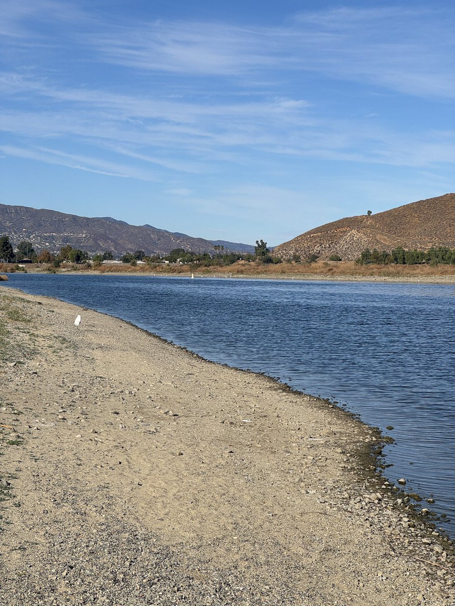 Scintillating tweet media