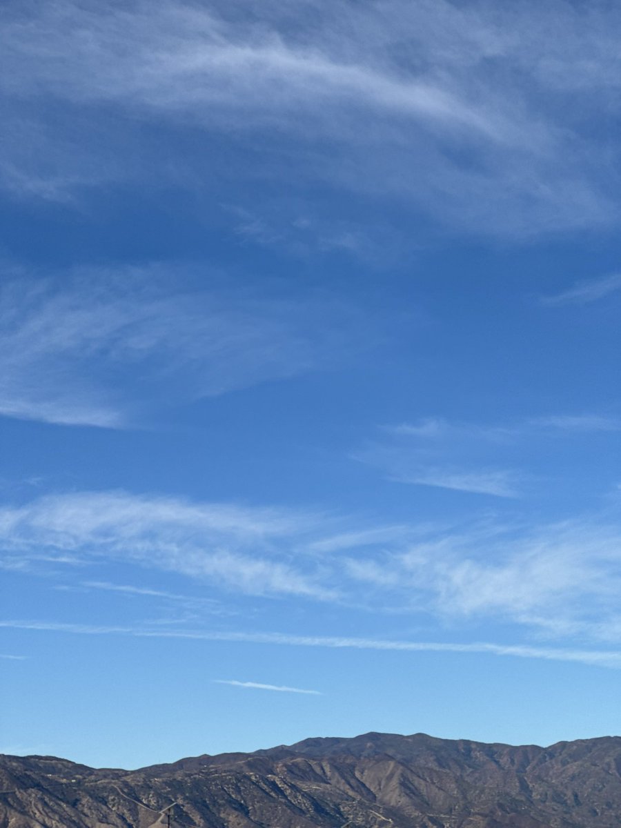 Scintillating tweet media