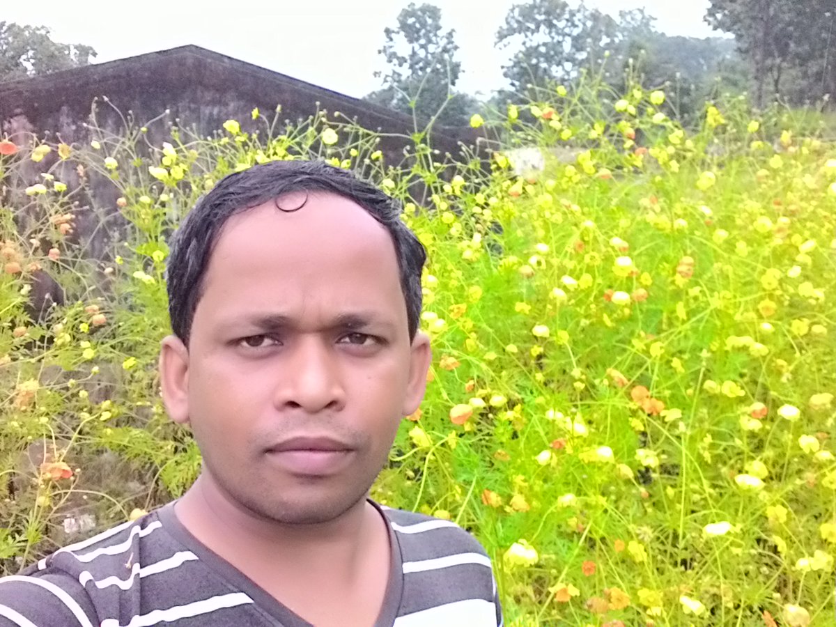 MBhoi79428's tweet photo. Enjoying with yellow flowers https://t.co/APVd5ATV6M