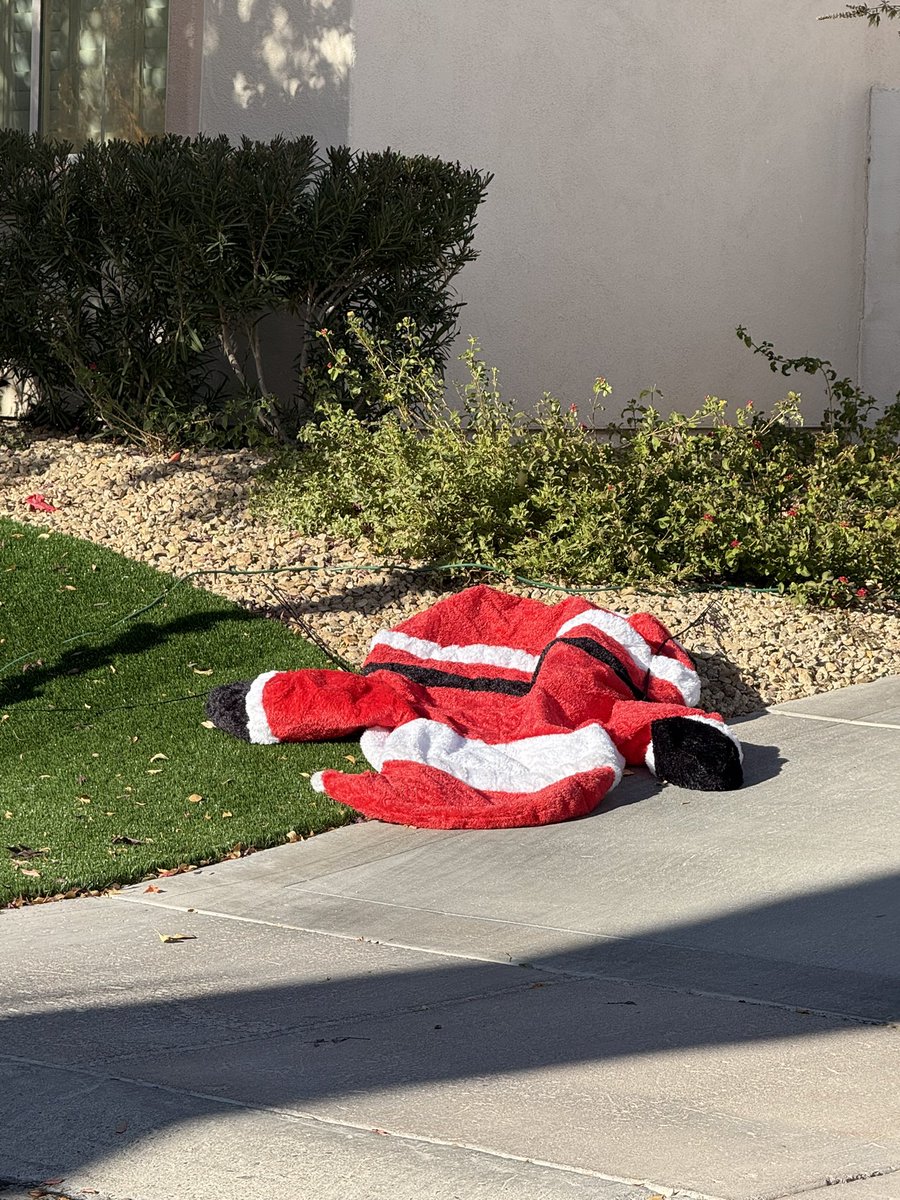 liz_fenwick's tweet photo. This morning’s #plotwalk was a bit different… looks like Santa was on the town last night as he’s a bit deflated this morning #whathappensinvegasstaysinvegas #vegas https://t.co/zHuQV7bv3s