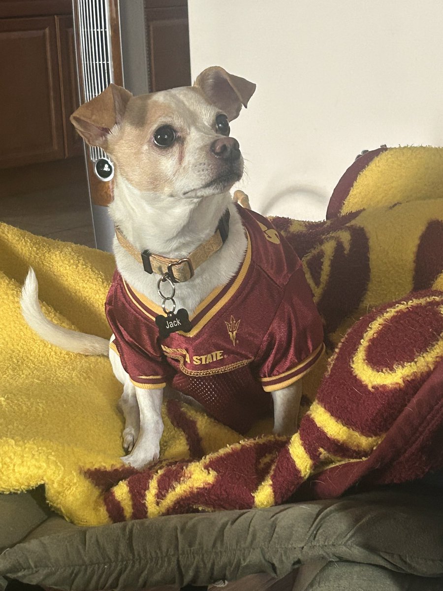 dennisdevil's tweet image. Go Devils!