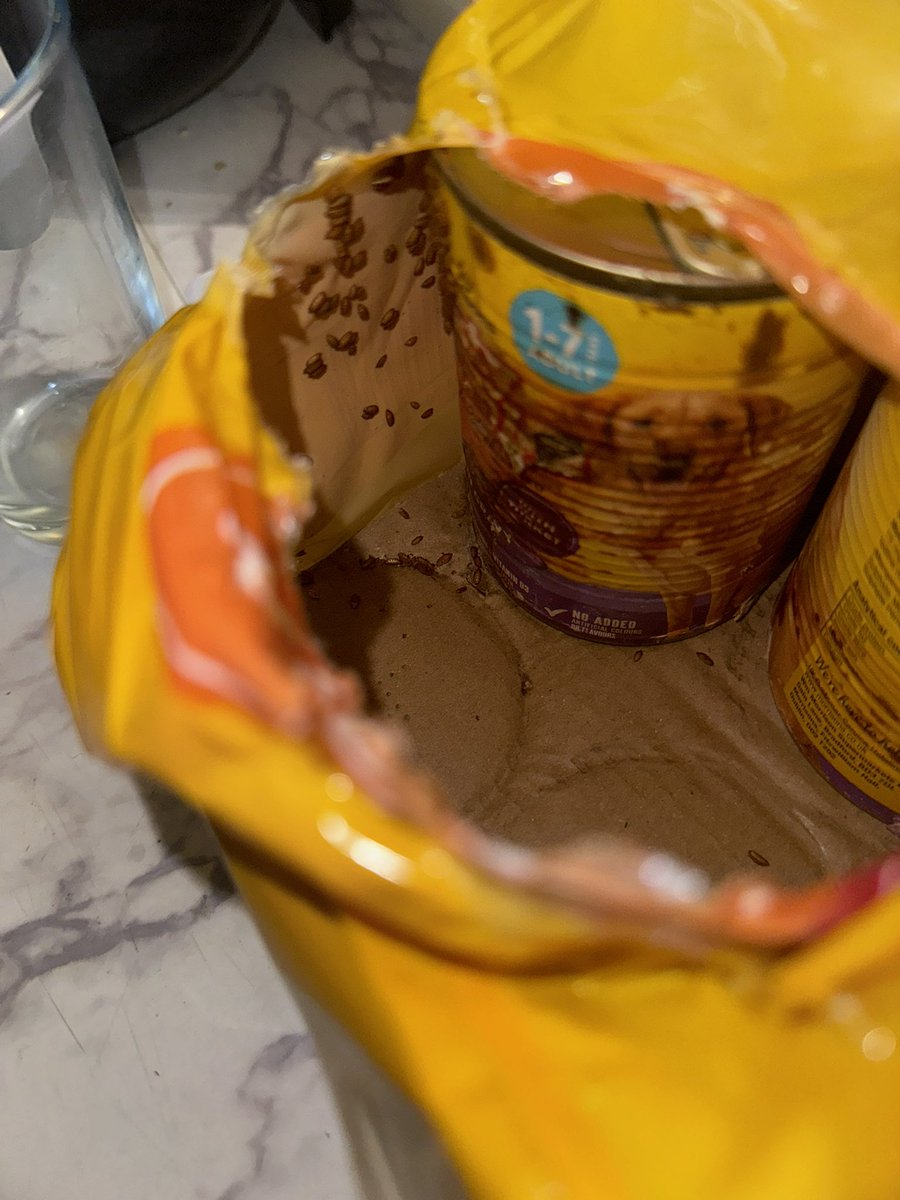 AndyCraig2210's tweet photo. @Morrisons Tried to get my dog his food this evening from your Widnes store and welcomed to this. 

Packaging full of maggots and tins all contaminated. 

Disgusting 

#morrisons https://t.co/pG9xtOOHkI