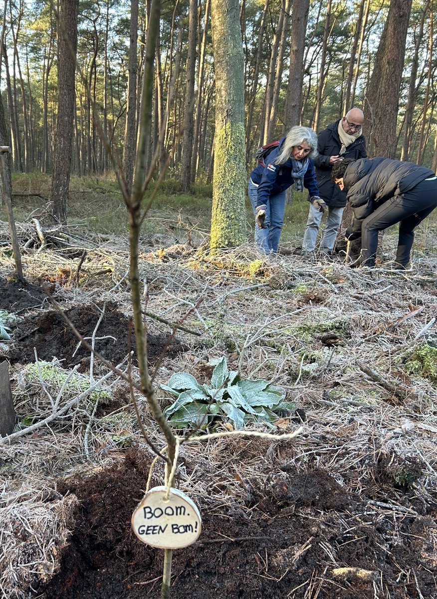 Geert-Jan van Holten tweet media