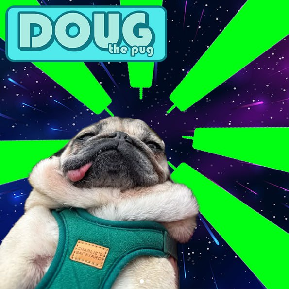 SolPugDoug's tweet photo. @blancxbt The Ticker is $DOUG 

Pump Fun: https://t.co/XTaXEIIaoK… 

Website: https://t.co/dxFh0krcHh 

Telegram: https://t.co/7TYam1c49N https://t.co/eivfs6cJre
