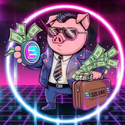 SOL PIG tweet media