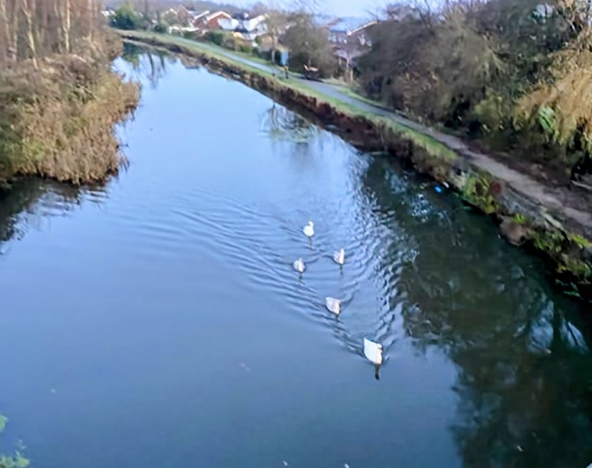 Jean Hensey tweet media