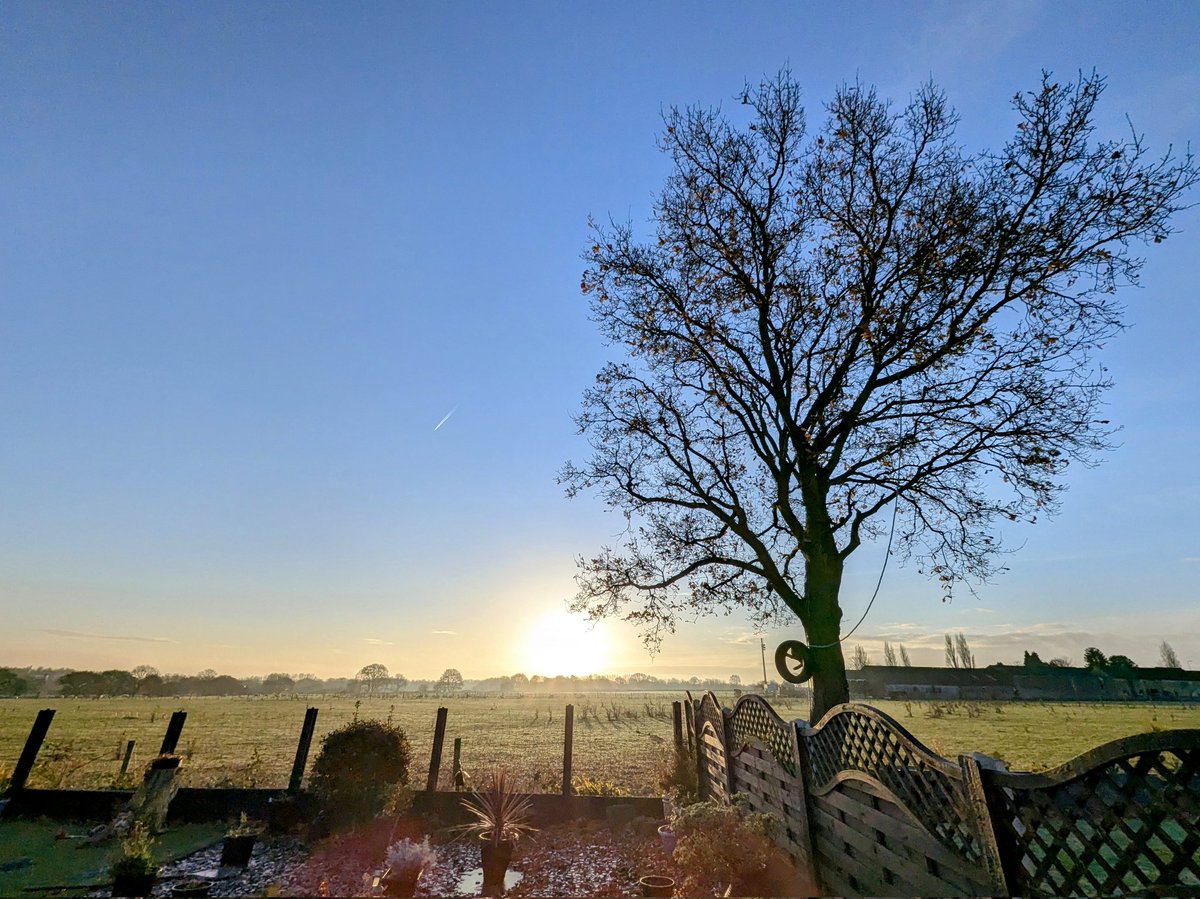 Jean Hensey tweet media