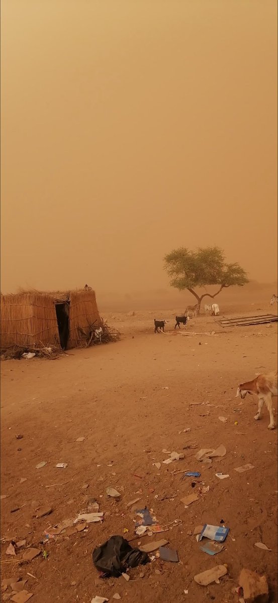 noeleeisaround's tweet photo. situation
as an elderly man in the camp passed away the day before yesterday due to malaria,There are also patients at risk of cholera and dengue fever

Also these are the homes of most of the residents in kurdfan and many of them doesn’t have blankets or food
[3] https://t.co/vpPp34N4Kc