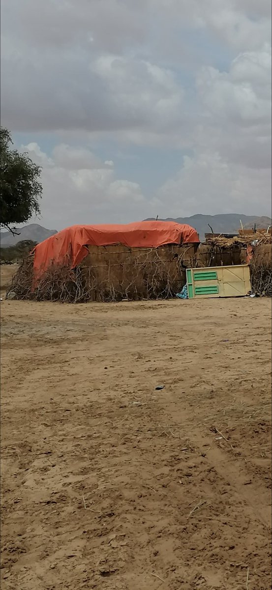 noeleeisaround's tweet photo. situation
as an elderly man in the camp passed away the day before yesterday due to malaria,There are also patients at risk of cholera and dengue fever

Also these are the homes of most of the residents in kurdfan and many of them doesn’t have blankets or food
[3] https://t.co/vpPp34N4Kc