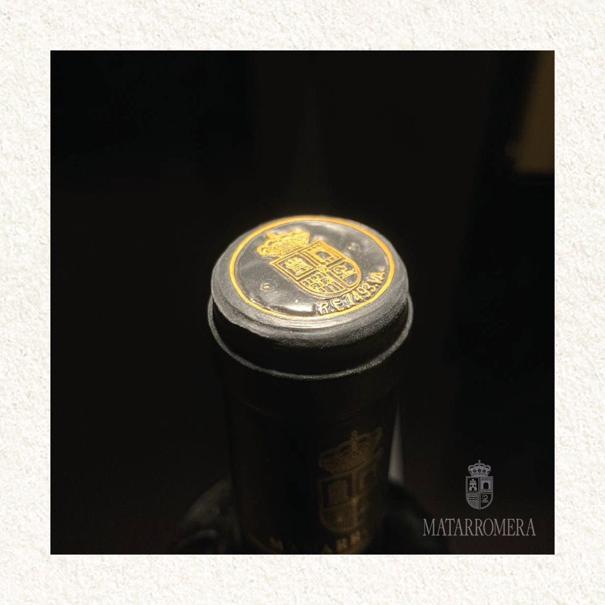 El sol acaricia los brotes de los sueños. 
The sun caresses the buds of dreams. 
#Matarromera