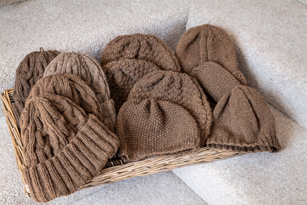 MLProduce's tweet photo. 🎄🎄🎈🎅🎄🎄looking for a truly Manx Christmas present? We have everything Manx Loaghtan from balls of wool, knitting kits, rugs, twine and much more. Come and see our farm shop or website #christmas #supportlocalproducers #XmasPresents #manxloaghtan #rarebreed #isleofman https://t.co/2j1RGxt82L