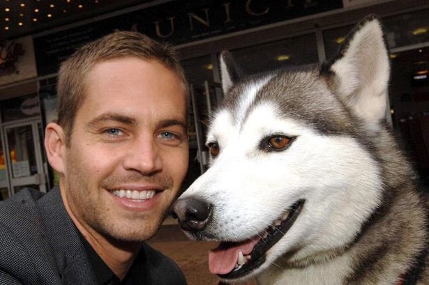 xorunnerxo's tweet image. 11 years ago we lost this beautiful soul. #paulwalker #gonetoosoon ❤️‍🩹 🕊️