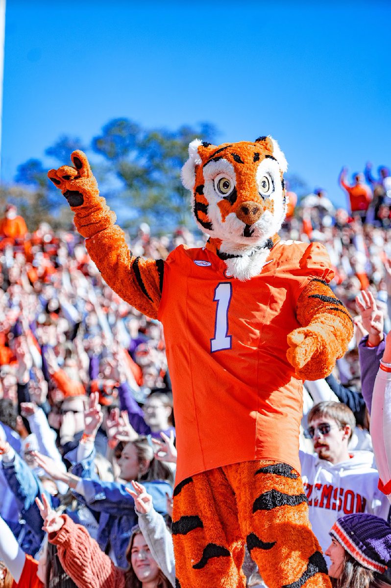 Let’s go Tigers! 🧡 💜