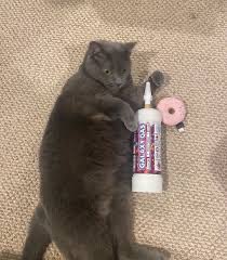 GALAXYGASSOLANA's tweet photo. JOIN THE TG NIGGA WE GOT $GAS 🤣

https://t.co/a7bYdHzTeS https://t.co/ZfG8Qxao2P