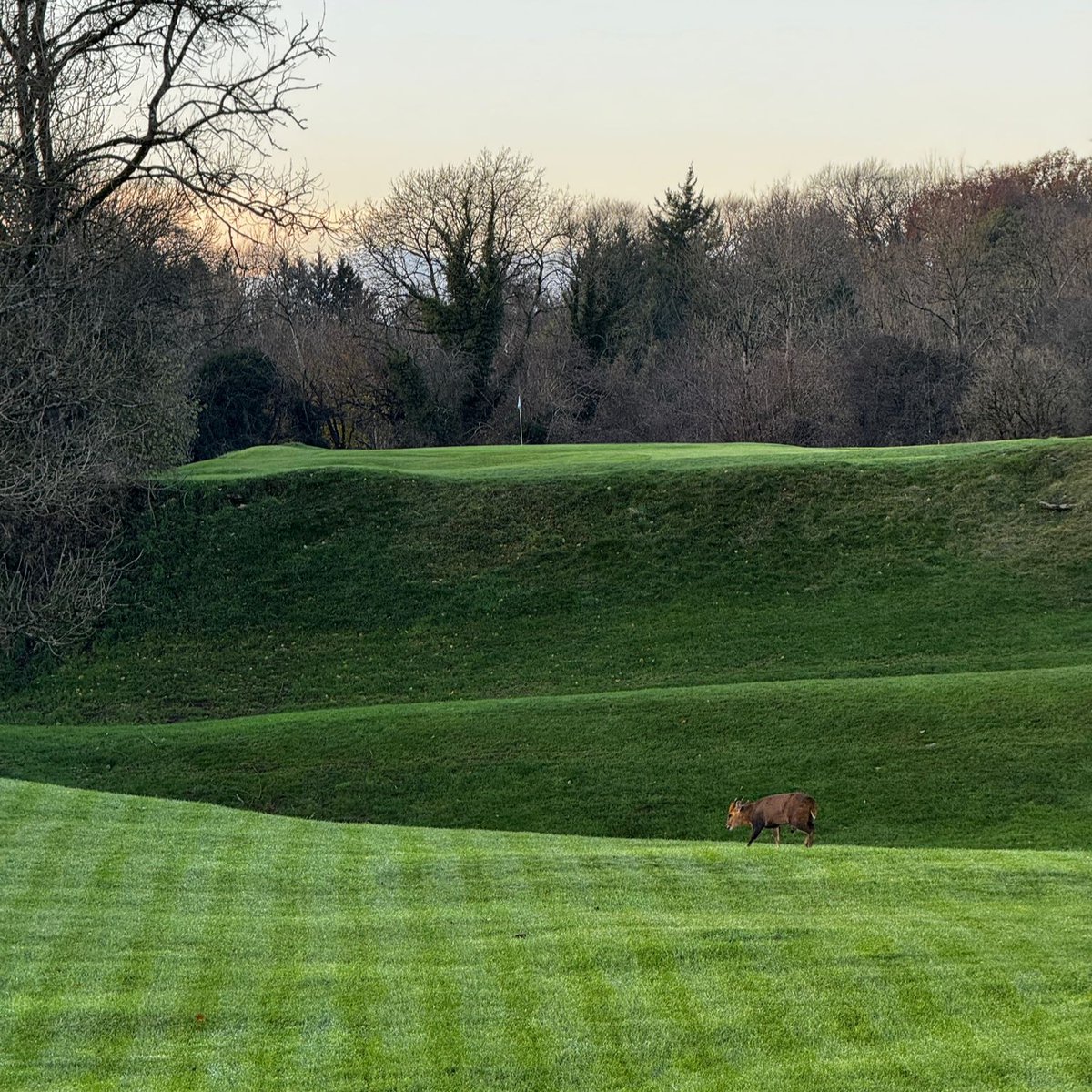 November roundup!
What a month it’s been!❄️From 2 inches of snow to storm Bert briefly halting play, but the course has still received fantastic feedback. Just a heads up that Christmas week is filling up fast, so if you fancy a festive round this December don't delay booking! 🎄