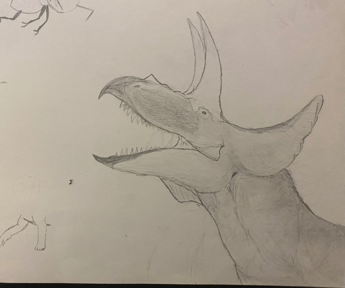 lemurriso's tweet photo. Old art I forgot to post #2:
Triceratops + Qianzhousaurus hybrid #art #ultimasaurus #paleoart https://t.co/OgLhHPhlWH