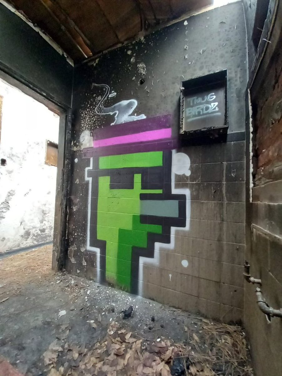 We own these streetz!

When you hear "caw caw" you better behave

We watching you

Be a <a href="/thugbirdz/">thugbirdz ¬¬</a> 🪶