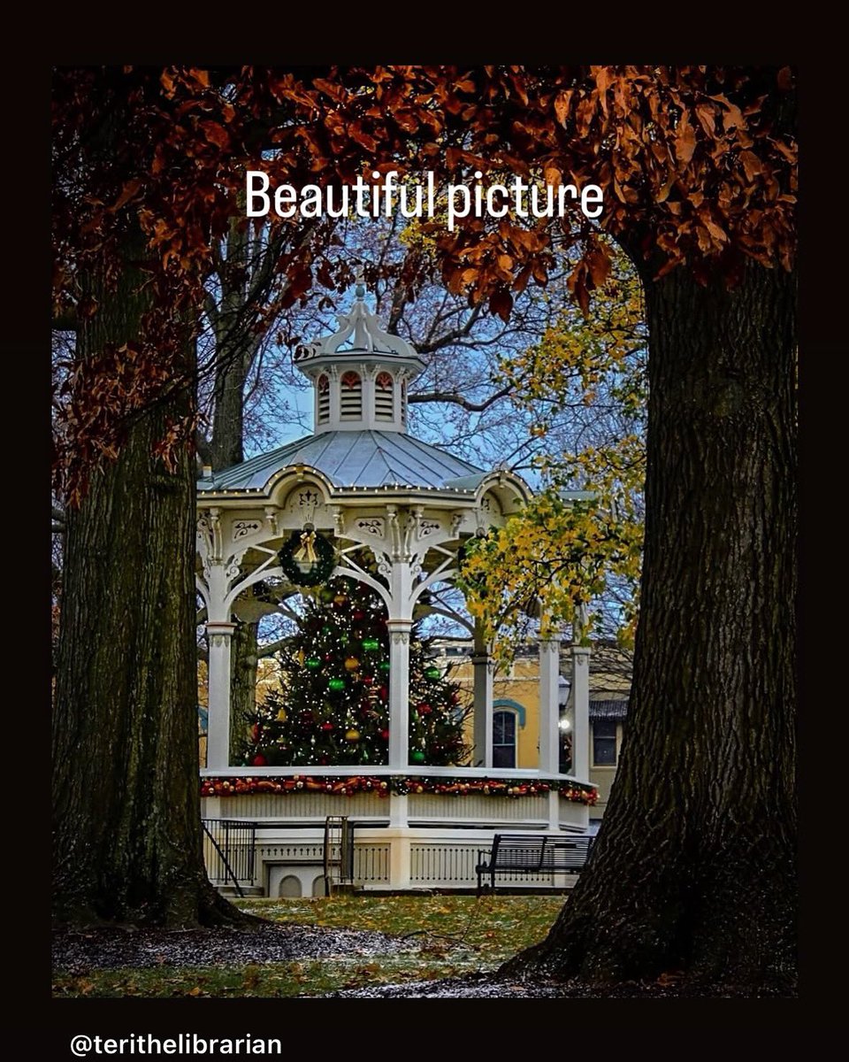 medina ohio (@medina_ohio) on Twitter photo 