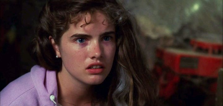 Qual é a sua opinião sobre essa final girl?

— Nancy Thompson de “A Hora do Pesadelo” (1984).
