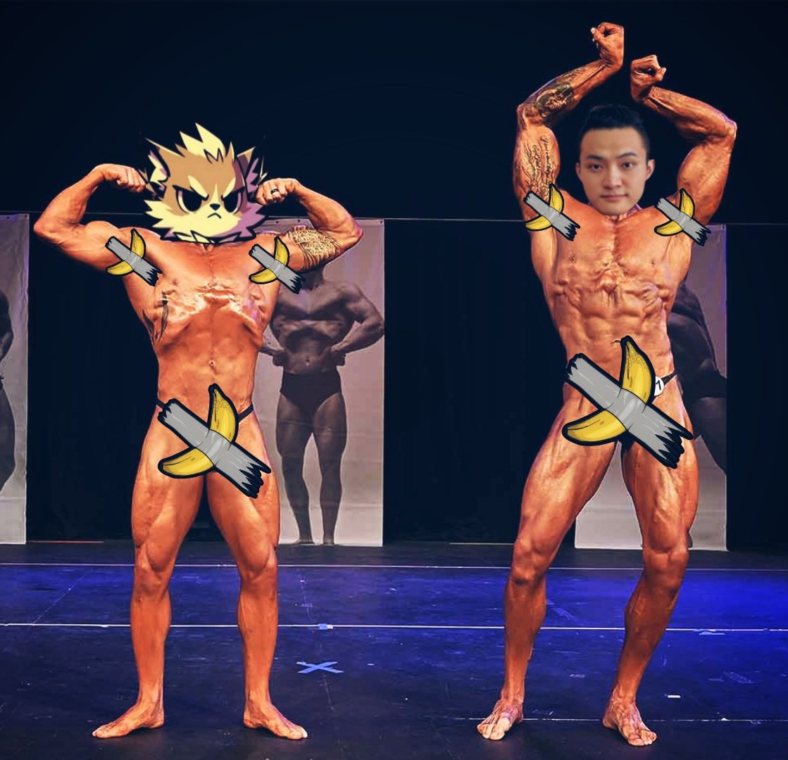 tuyurb's tweet photo. @TwiskersToken @justinsuntron this my meme entry 🙏 
@TwiskersToken
@justinsuntron

$TWX
#Banana https://t.co/TNgWdcr5uh