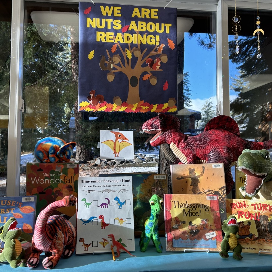 PlacerLibrary's tweet image. The dinos are roaring with gratitude that the library stayed open today! 🦖📚 They had a dino-mite time picking out some awesome movies, exploring the children's computers, and conquering a scavenger hunt! 🦕🎥✨
#dinovember #dinovember2024 #librarylife