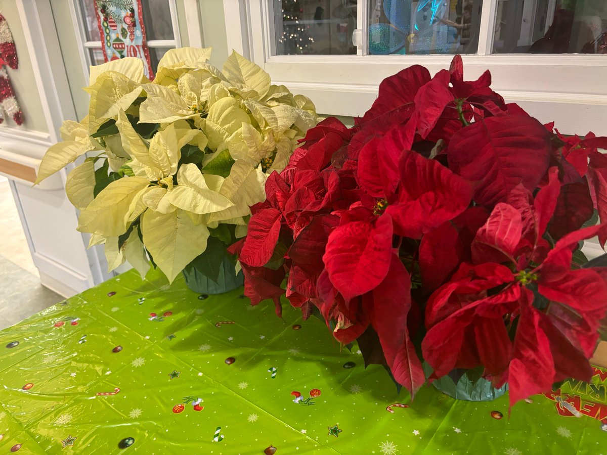 WALC (@pchs_walc) on Twitter photo Today, members of WALC generously donated their time to visit & play BINGO with the residents of Lakewood Nursing Center! They even spread some holiday cheer by gifting them 2 poinsettias for their entrance table.
Way to go Wildcats!
<a href="/WildcatsPCHS/">Plainfield Central Wildcats Athletics</a>
<a href="/Activities_PHS/">Wildcat Activities and Athletics</a>
<a href="/Mr_Chlebek/">PHS Wildcats</a> Today, members of WALC generously donated their time to visit & play BINGO with the residents of Lakewood Nursing Center! They even spread some holiday cheer by gifting them 2 poinsettias for their entrance table.
Way to go Wildcats!
<a href="/WildcatsPCHS/">Plainfield Central Wildcats Athletics</a>
<a href="/Activities_PHS/">Wildcat Activities and Athletics</a>
<a href="/Mr_Chlebek/">PHS Wildcats</a>