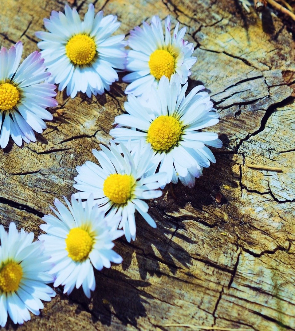 Tolstoy'a sormuşlar:
Nasıl ''iyi insan'' olunabilir?
Önce ''kötülük ve kötü insan'' hususunda mutabık olmak lazım, demiş.
Peki, kötü insan nedir? diye sormuşlar.
Verdiği cevap sarsıcı:
''Kendi mutluluğundan başka hedefi olmayan insan en kötü insandır.''