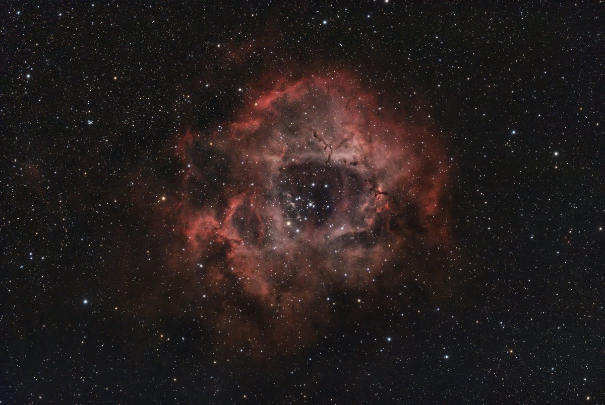 Rosette Nebula, 128 minutes from a very cold driveway last night.  Askar 71F, 2600MC Duo.  #astrophotography #onlyrealspace