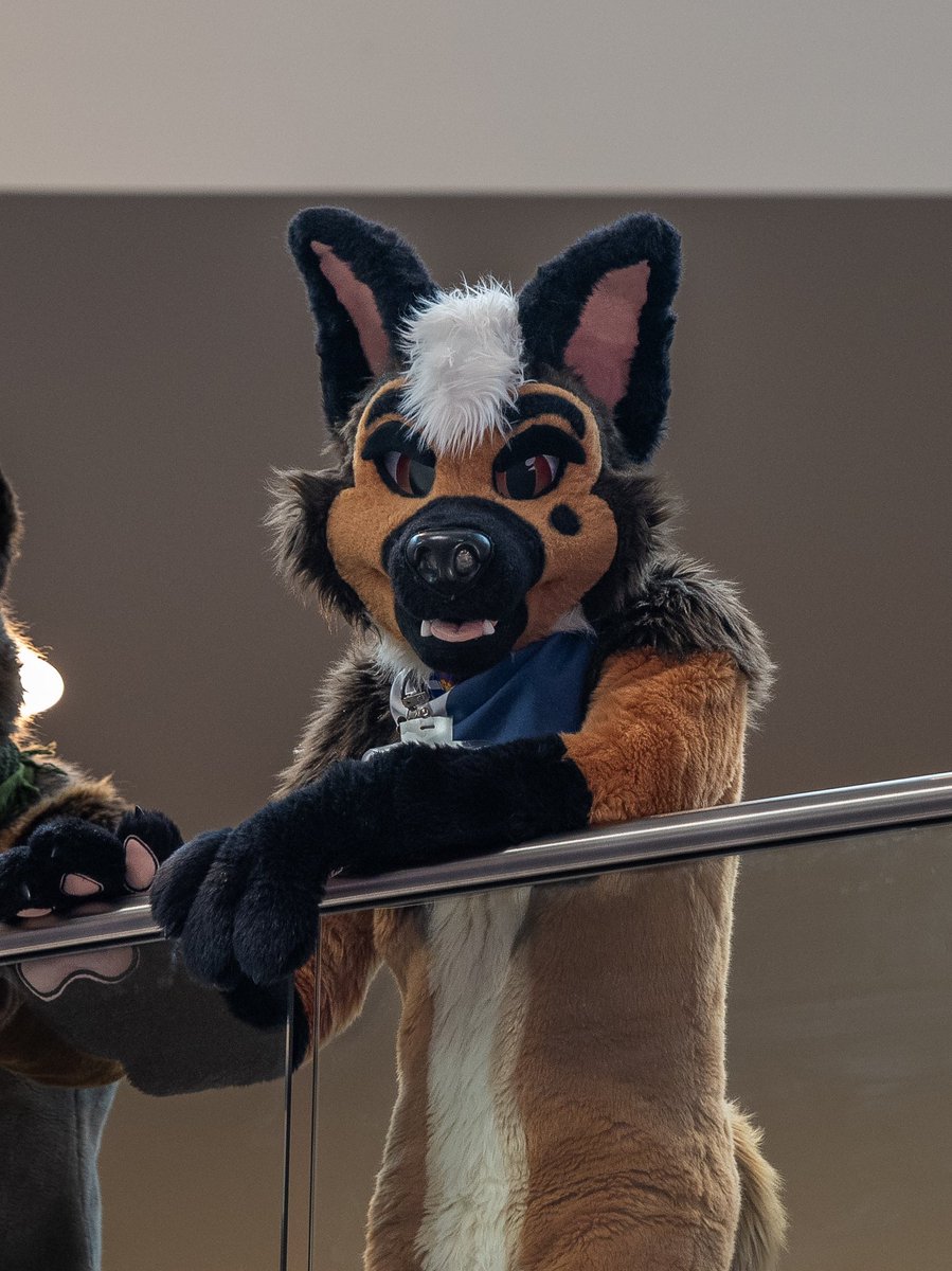 Hope everyone had an amazing Thanksgiving! ONWARDS TO CHRISTMAS TIME!! 

🪡: <a href="/RumWolf/">Rum Wolf</a>