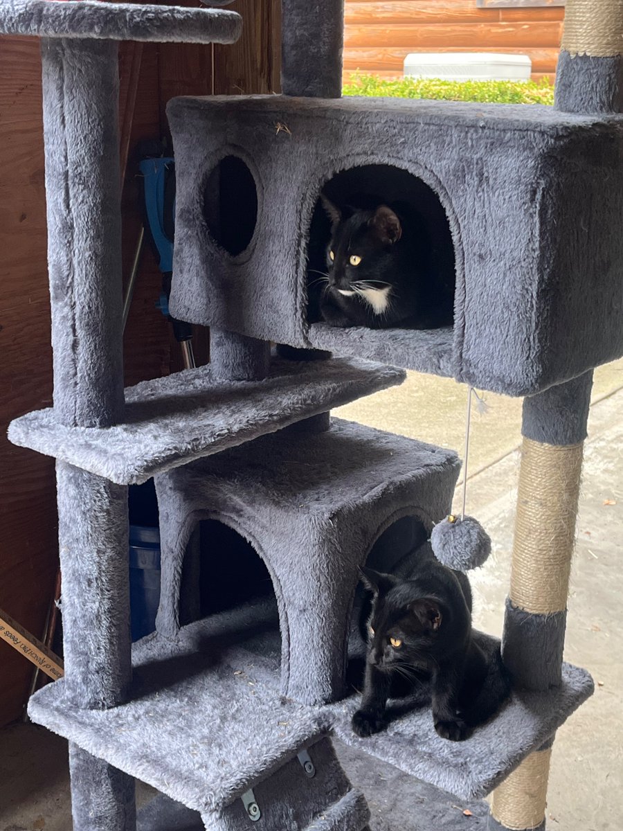 <a href="/its_The_Dr/">Johnny Midnight ⚡️</a>