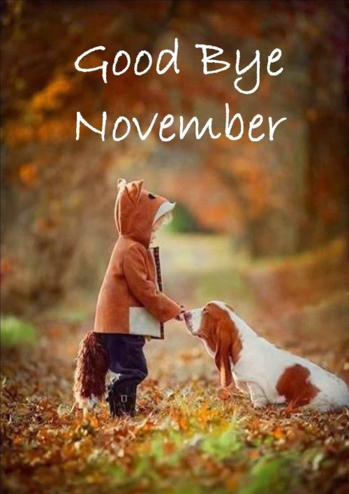 Priya_angekl's tweet photo. "November's end is a delicate pause ⏳, where the earth rests between the golden past 🌟 and the frost-bitten future 🥶.  #EndOfNovember 🌒#LastMoments ⏳ #NovemberVibes 🌙.....🍁 https://t.co/2WKXWzIwM6