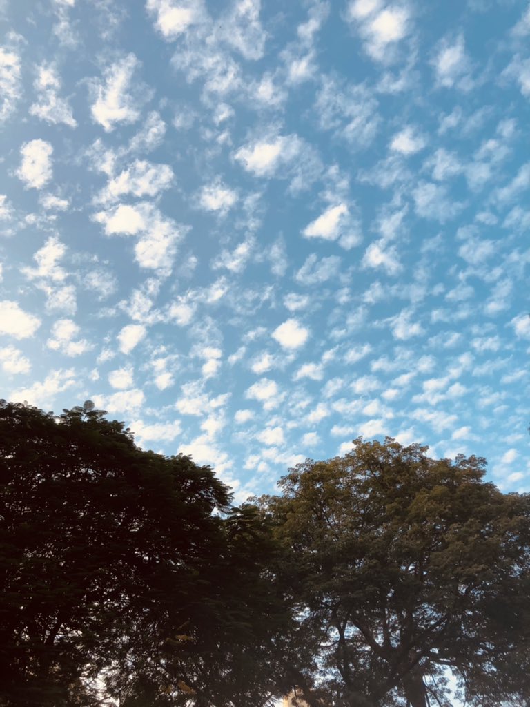 Today’s sky looks like cotton candy